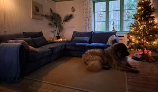 Chilla, House with Wifi and fireplace in the woods - 4