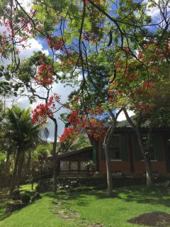 Guest House Tânia Alves - 8