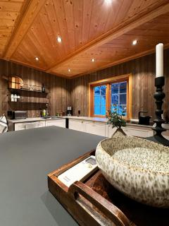 Nature-Close Cabin By Trysil Mountain - 1