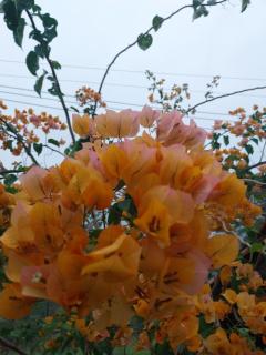 Chácara Acongegate Eloina - 4