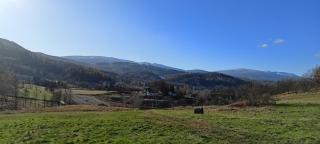 Pine Peak Holiday House Sosnówka - 3