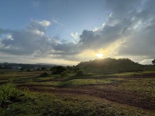 Titus Parra Coconut Paradise villa - 8