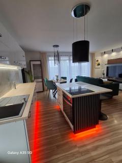 Swiąteczny Apartament Rotembark - 7