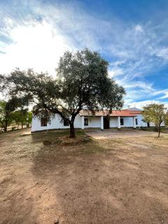 Cerro Caña: Naturaleza Confort y Exclusividad - 9
