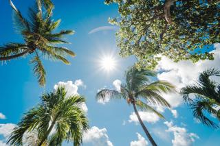 L'Etoile du Lagon - 2