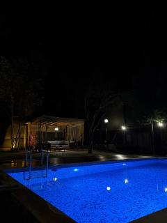 Detached villa with a heated pool and garden - 3