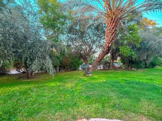 le cocon de la Palmeraie (Piscine et jardin) - 4