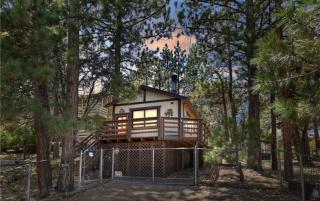 Bear Forest Cabin, Large Yard, Pet-Friendly! - 0