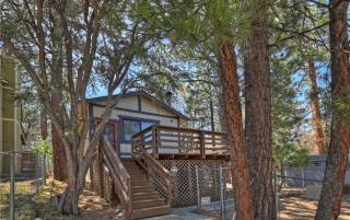 Bear Forest Cabin, Large Yard, Pet-Friendly! - 8