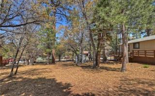 Bear Forest Cabin, Large Yard, Pet-Friendly! - 5