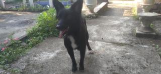 Estância do atash - 2