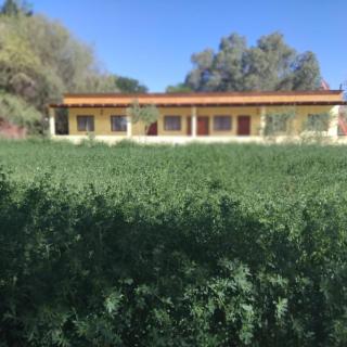 Inti Wasi habitaciones - 2