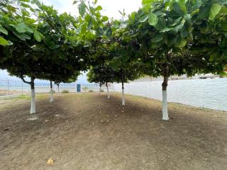 Villa Solara - A Beachfront Residence - 8