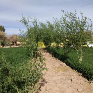 Inti Wasi habitaciones - 6