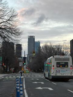 Stunning & Serene Downtown Apartment - 8