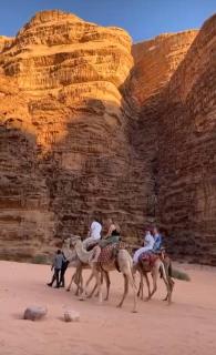 Rum Awaad luxury camp - 1