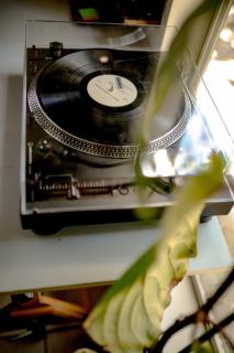 Stylish Musician's Flat With Creekside Garden - 5