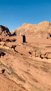 Rum Awaad luxury camp - 8