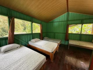 Complejo Ecoturistico Tamandua - 8