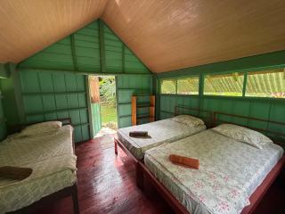 Complejo Ecoturistico Tamandua - 9