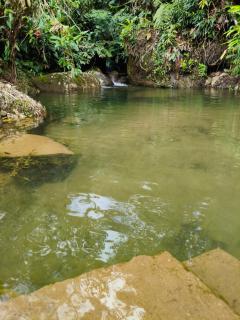 Finca AVALON Alejandria Antioquia - 9