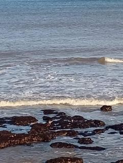 Gaia Miramar - sea and nature - 5