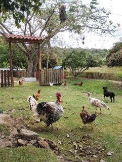 Chácara Belas Artes - 7