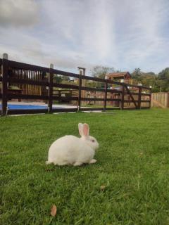 Chácara Belas Artes - 9