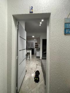 Apto com piscina Praia de Maranduba - Ubatuba - 7