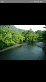 WOOD CABIN LODGE IN THE FOREST book here treking with us - 4