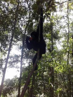 WOOD CABIN LODGE IN THE FOREST book here treking with us - 8