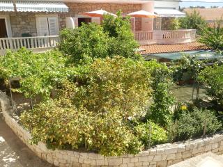 Apartment Sucuraj 16404b - 1