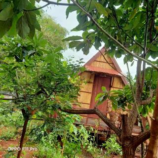 Tribal Village Homestay & Trekking - 1