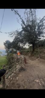 Seto Ghar home stay and Agro Farm - 1