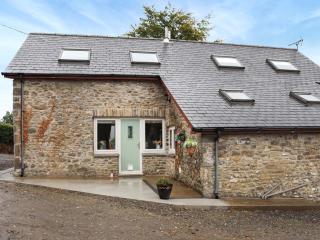 Cothi Cottage - Uk49588 - 9
