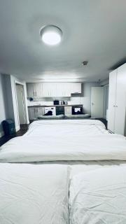 Premium flat in the Heart of Dublin City - 4