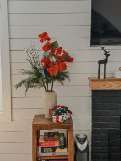 Lunavista Suite - 3B - 2BTH - 9