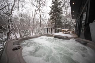 Cozy Luxury Cabin w Hot Tub, Fire Pit, King Bed - 6