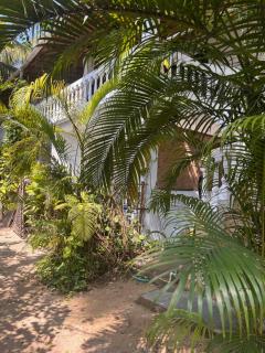 Palm Breeze Suites - 8