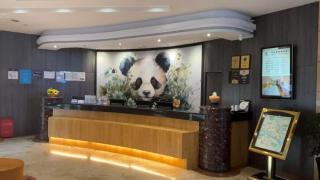 Sofitel Chengdu Chunxi Road Hotel - Chengdu - 4