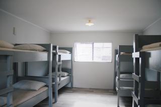 Hugo & Carters Backpackers & Motel - Tauranga - 3