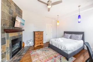 Modern 4 Bedroom Greystone - Chicago - 1