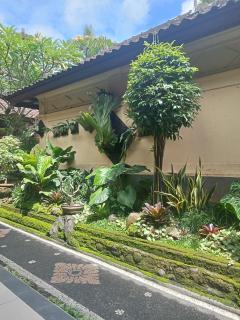 Dewi Antara Homestay - 4