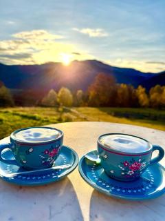 Casa Maria Valea Draganului - 1