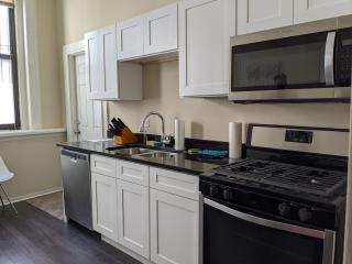 Downtown Vintage Chicago APT - 6