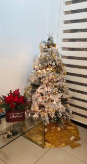 Departamento centrico - 9