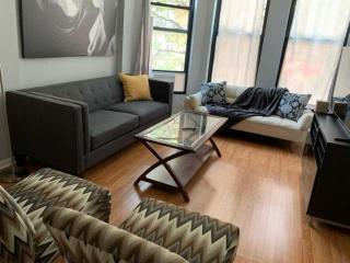 South Loop 4 Bedroom apt - 8