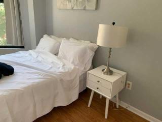 South Loop 4 Bedroom apt - 5