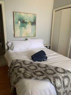 South Loop 4 Bedroom apt - 3