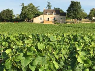 La Maison du Clos du Roi - Mercurey - 4